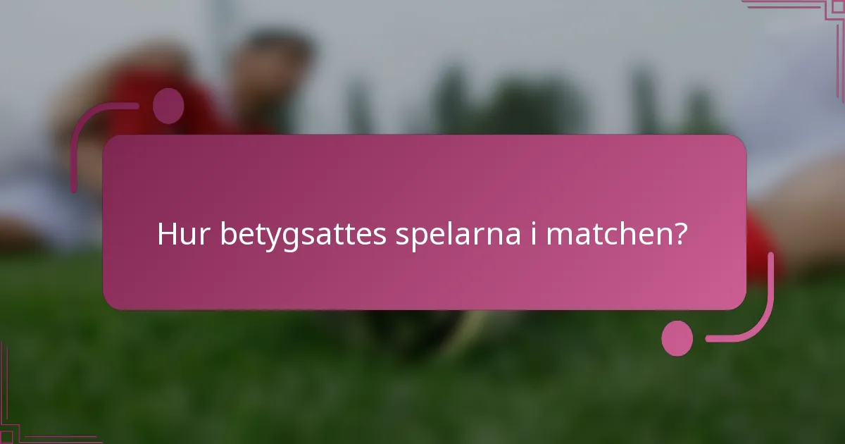 Hur betygsattes spelarna i matchen?